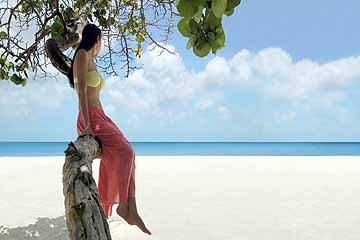 girl in palm tree on manchebo beach.jpg