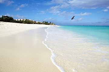 aruba_eagle_beach.jpg