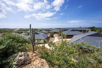 overview morena