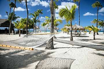 manchebo - hammock.jpg
