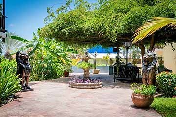 lionsdive-garden2-768x512.jpg
